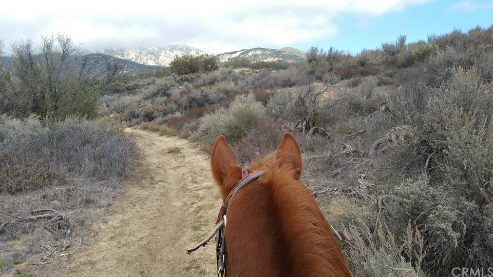 0 Hop Patch Spring Road Mountain Center, CA 92561 - Photo 4 of 27