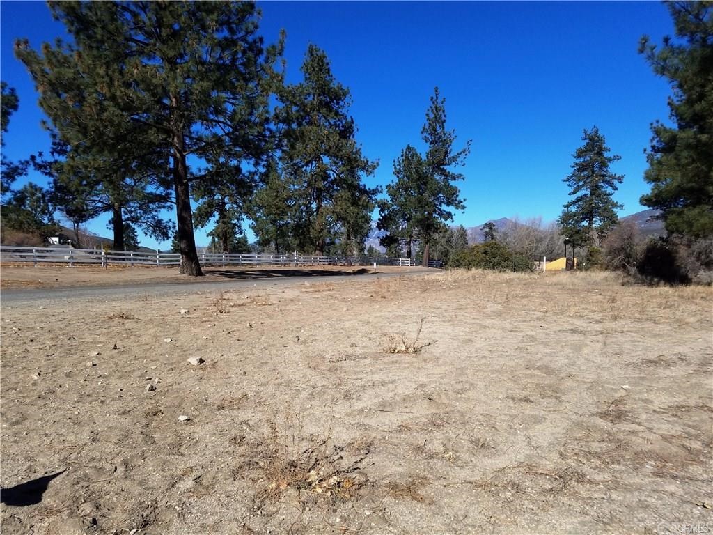 0 Hop Patch Spring Road Mountain Center, CA 92561 - Photo 5 of 27