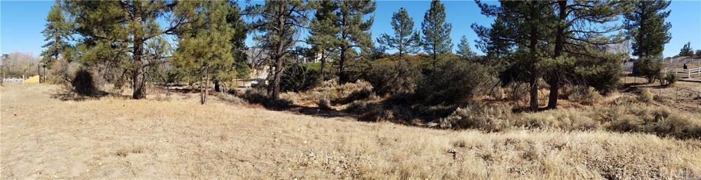 0 Hop Patch Spring Road Mountain Center, CA 92561 - Photo 6 of 27
