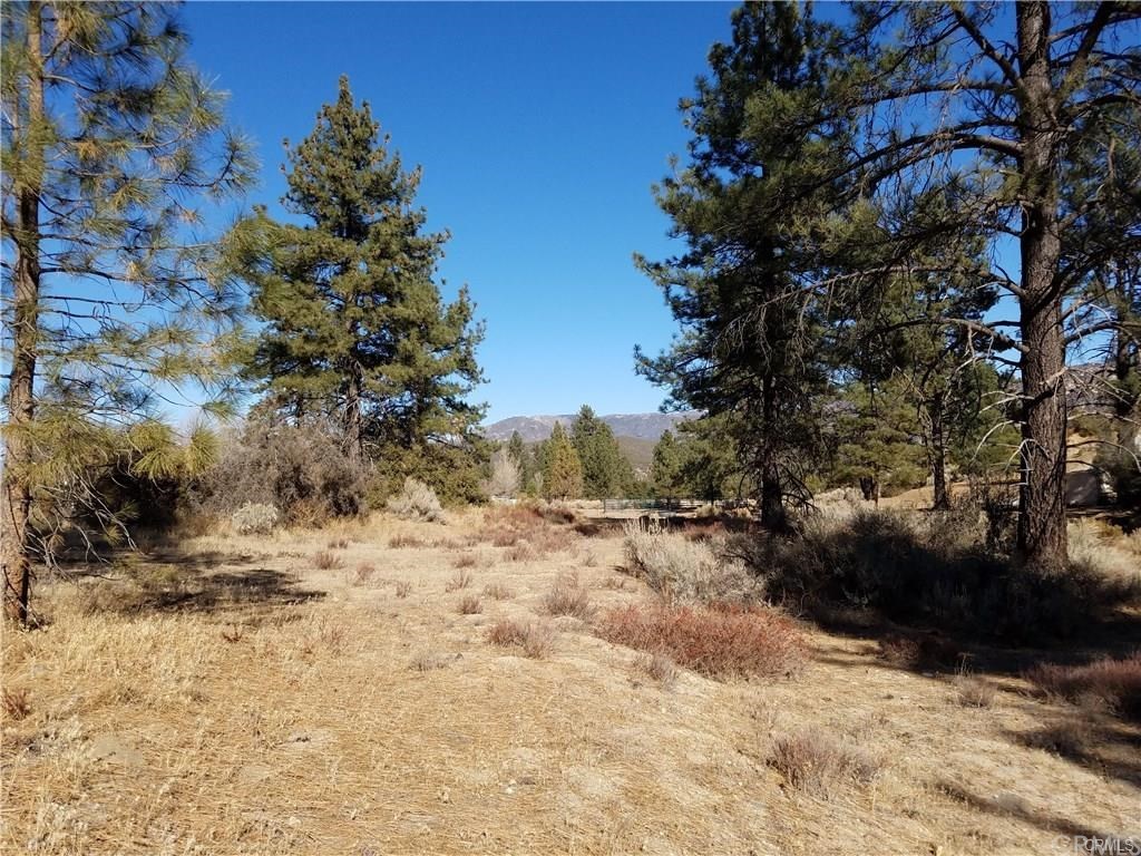 0 Hop Patch Spring Road Mountain Center, CA 92561 - Photo 7 of 27