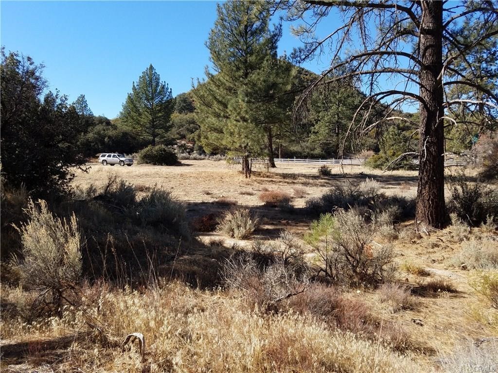 0 Hop Patch Spring Road Mountain Center, CA 92561 - Photo 8 of 27