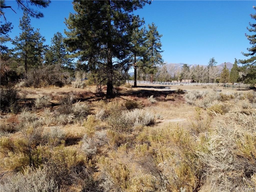0 Hop Patch Spring Road Mountain Center, CA 92561 - Photo 9 of 27