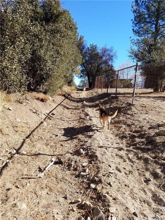0 Hop Patch Spring Road Mountain Center, CA 92561 - Photo 10 of 27