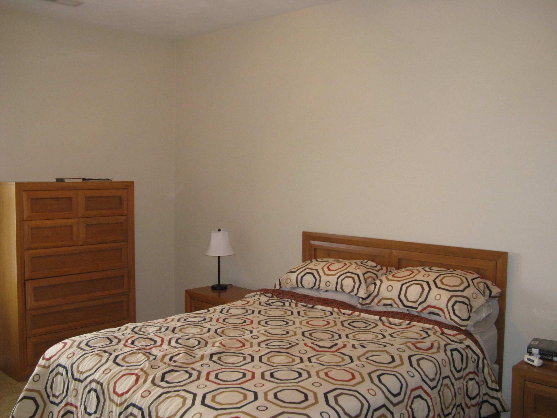 1945 South Clearing Road Salem, VA 24153 - Photo 7 of 10 Master bedroom