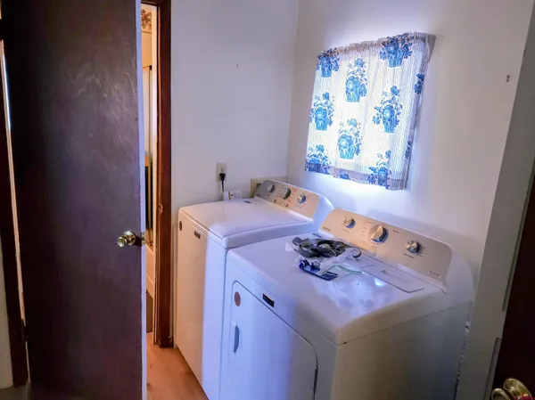 a view of a park with large trees