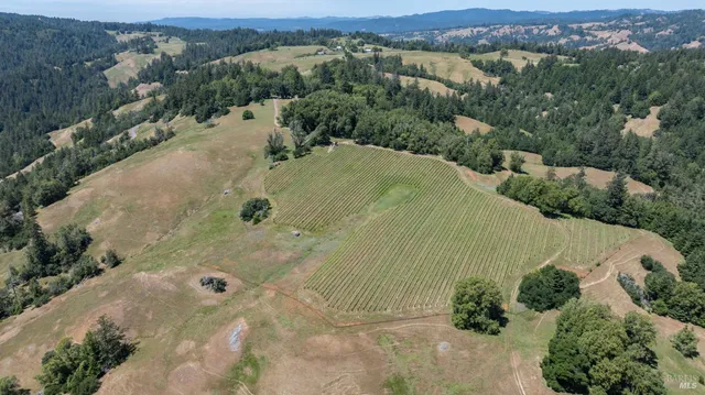 $2,250,000 | 38555 Hauser Bridge Road, Cazadero, CA 95421