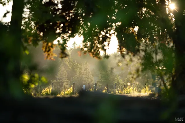 $2,250,000 | 38555 Hauser Bridge Road, Cazadero, CA 95421