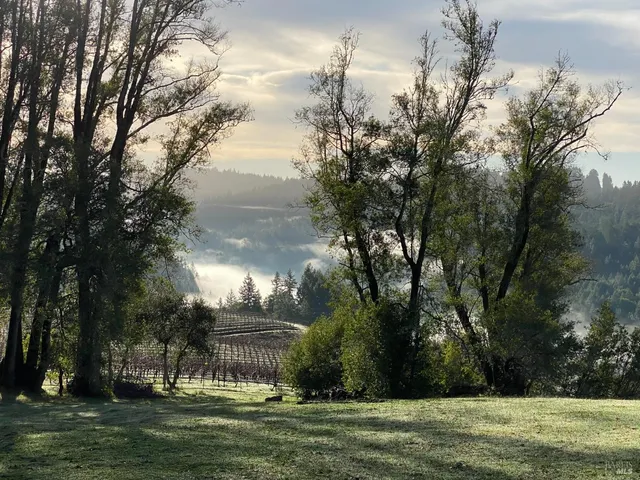 $2,250,000 | 38555 Hauser Bridge Road, Cazadero, CA 95421