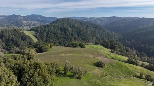$1,950,000 | 38555 Hauser Bridge Road, Cazadero, CA 95421