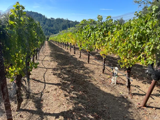 $2,250,000 | 38555 Hauser Bridge Road, Cazadero, CA 95421