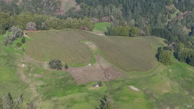 $1,950,000 | 38555 Hauser Bridge Road, Cazadero, CA 95421