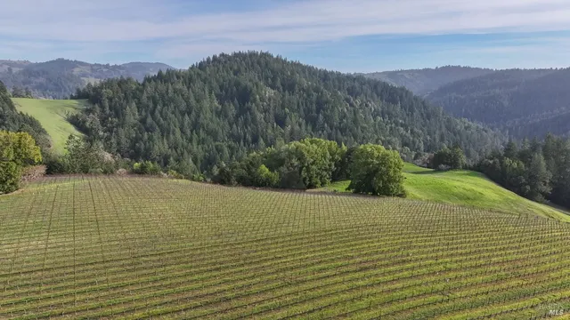 $1,950,000 | 38555 Hauser Bridge Road, Cazadero, CA 95421