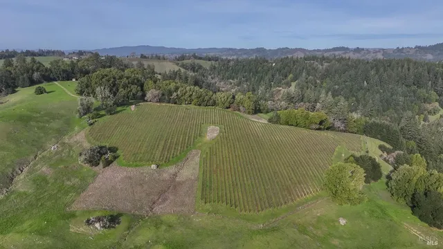 $1,950,000 | 38555 Hauser Bridge Road, Cazadero, CA 95421