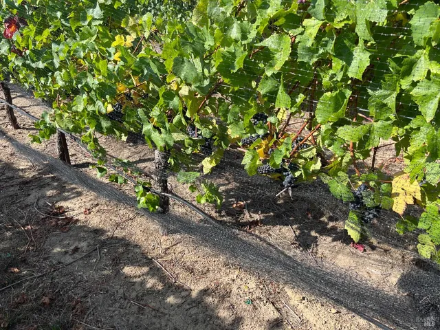 $2,250,000 | 38555 Hauser Bridge Road, Cazadero, CA 95421