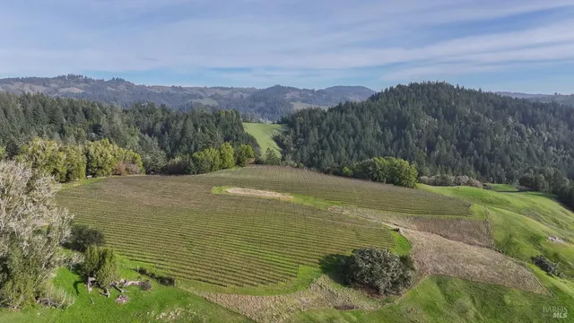 $1,950,000 | 38555 Hauser Bridge Road, Cazadero, CA 95421