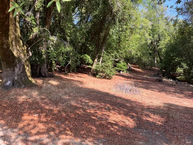 $2,250,000 | 38555 Hauser Bridge Road, Cazadero, CA 95421