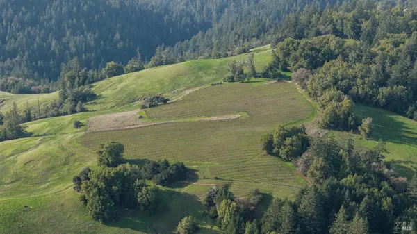 $1,950,000 | 38555 Hauser Bridge Road, Cazadero, CA 95421