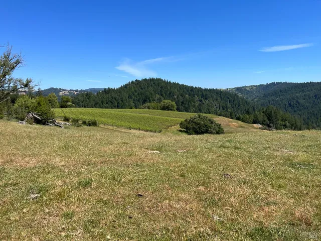 $1,950,000 | 38555 Hauser Bridge Road, Cazadero, CA 95421