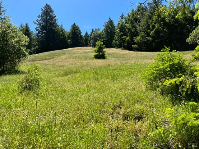 $2,250,000 | 38555 Hauser Bridge Road, Cazadero, CA 95421