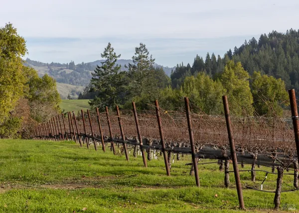 $1,950,000 | 38555 Hauser Bridge Road, Cazadero, CA 95421