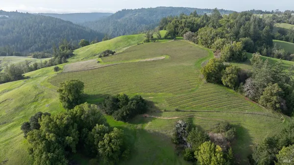 $1,950,000 | 38555 Hauser Bridge Road, Cazadero, CA 95421