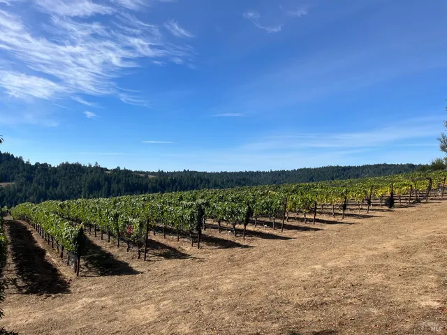 $2,250,000 | 38555 Hauser Bridge Road, Cazadero, CA 95421