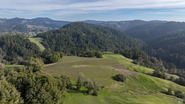 $1,950,000 | 38555 Hauser Bridge Road, Cazadero, CA 95421