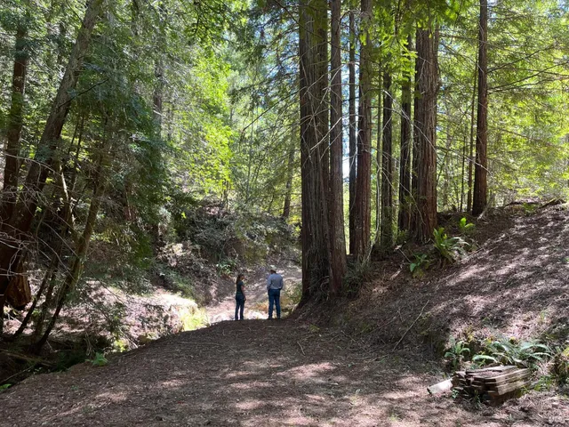 $2,250,000 | 38555 Hauser Bridge Road, Cazadero, CA 95421