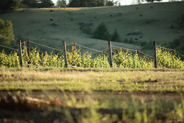 $1,950,000 | 38555 Hauser Bridge Road, Cazadero, CA 95421