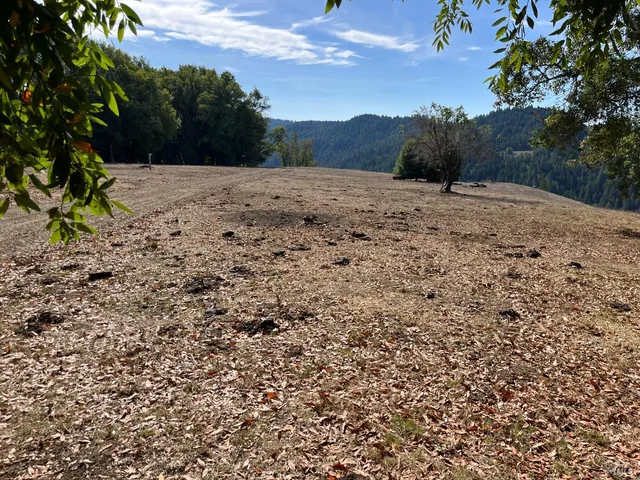 $2,250,000 | 38555 Hauser Bridge Road, Cazadero, CA 95421