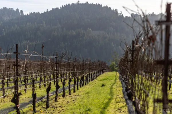 $1,950,000 | 38555 Hauser Bridge Road, Cazadero, CA 95421