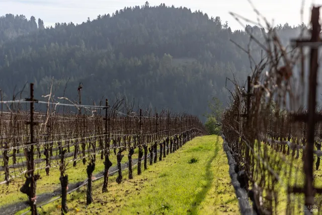 $1,950,000 | 38555 Hauser Bridge Road, Cazadero, CA 95421