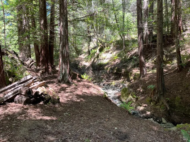 $2,250,000 | 38555 Hauser Bridge Road, Cazadero, CA 95421