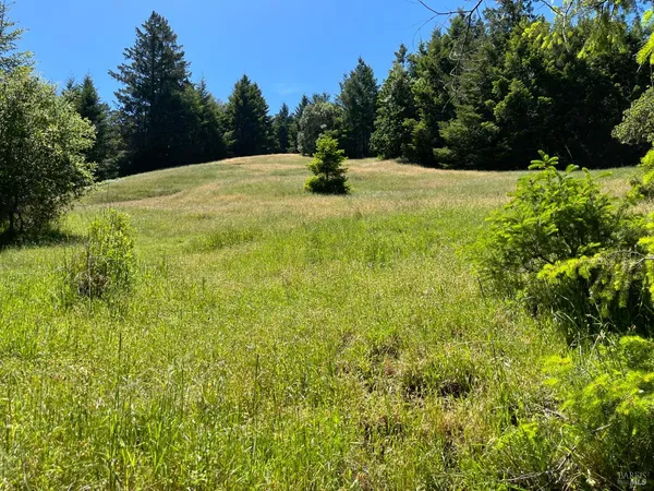 $1,950,000 | 38555 Hauser Bridge Road, Cazadero, CA 95421