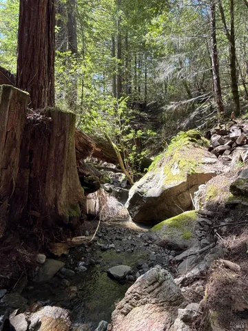 $1,950,000 | 38555 Hauser Bridge Road, Cazadero, CA 95421