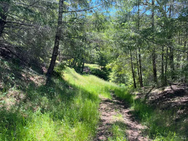 $2,250,000 | 38555 Hauser Bridge Road, Cazadero, CA 95421