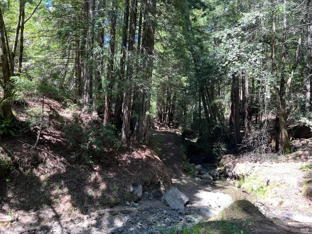 $2,250,000 | 38555 Hauser Bridge Road, Cazadero, CA 95421
