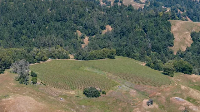 $2,250,000 | 38555 Hauser Bridge Road, Cazadero, CA 95421