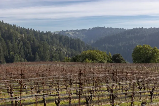 $1,950,000 | 38555 Hauser Bridge Road, Cazadero, CA 95421