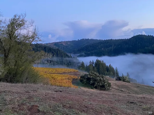 $1,950,000 | 38555 Hauser Bridge Road, Cazadero, CA 95421