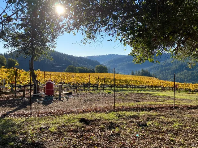 $1,950,000 | 38555 Hauser Bridge Road, Cazadero, CA 95421