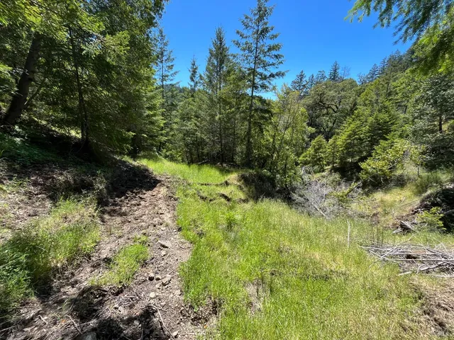 $2,250,000 | 38555 Hauser Bridge Road, Cazadero, CA 95421