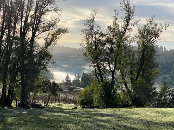 $1,950,000 | 38555 Hauser Bridge Road, Cazadero, CA 95421