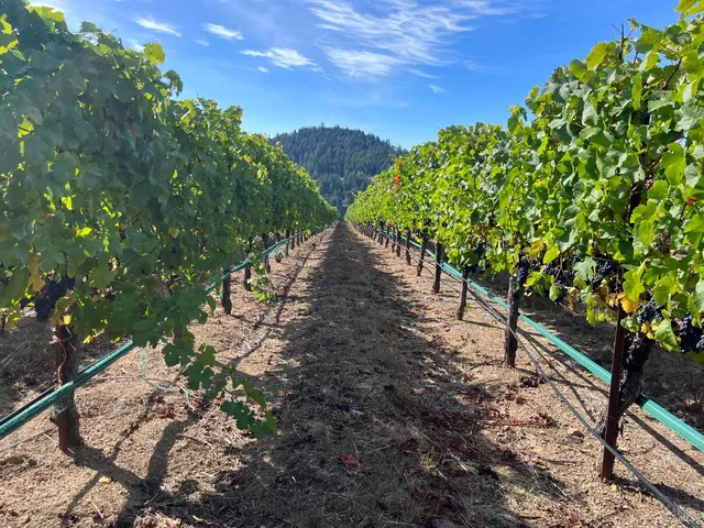 $1,950,000 | 38555 Hauser Bridge Road, Cazadero, CA 95421