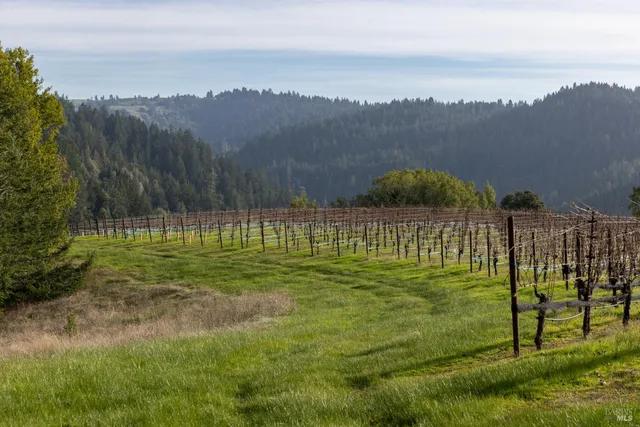 $1,950,000 | 38555 Hauser Bridge Road, Cazadero, CA 95421