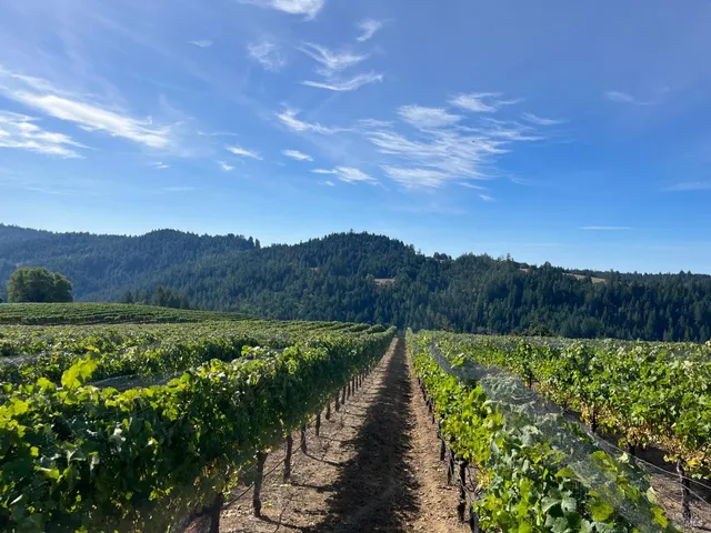 $1,950,000 | 38555 Hauser Bridge Road, Cazadero, CA 95421