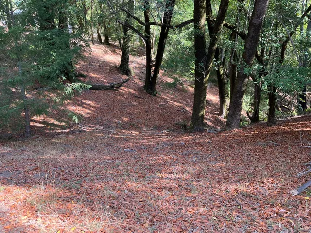$1,950,000 | 38555 Hauser Bridge Road, Cazadero, CA 95421