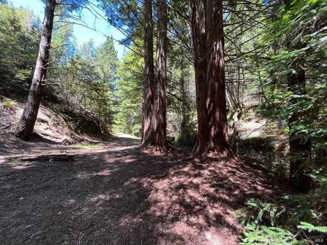 $1,950,000 | 38555 Hauser Bridge Road, Cazadero, CA 95421