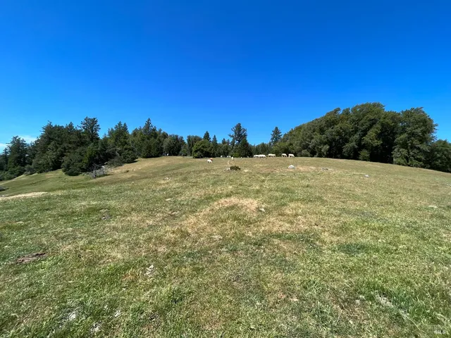 $2,250,000 | 38555 Hauser Bridge Road, Cazadero, CA 95421