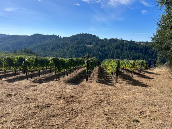 $1,950,000 | 38555 Hauser Bridge Road, Cazadero, CA 95421